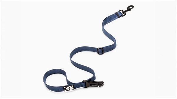 pet safety leash - Renault Megane E-Tech electric