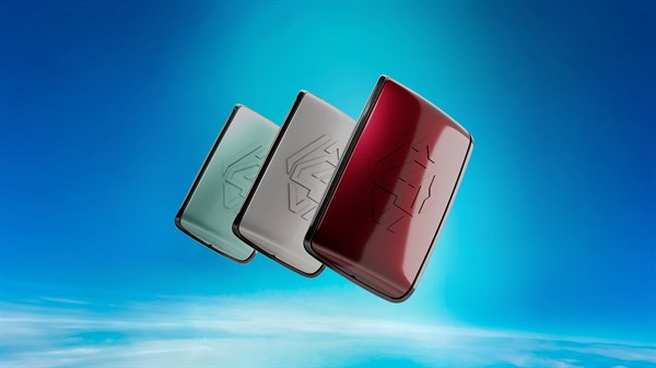 Renault 4 - hands-free card cases