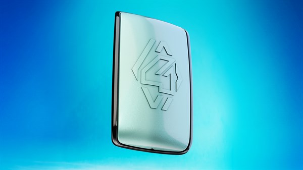 Renault 4 - hands-free card cases
