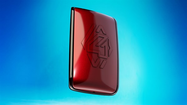 Renault 4 - hands-free card cases
