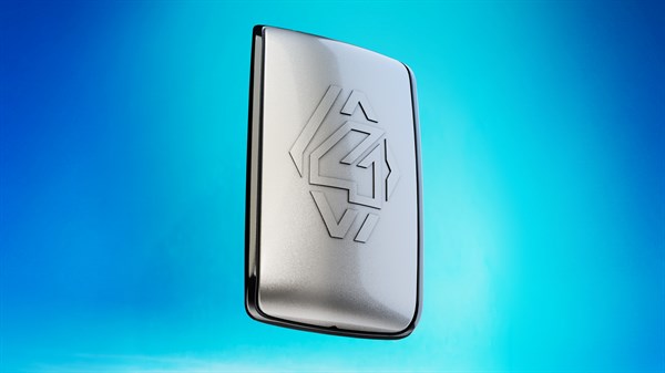 Renault 4 - hands-free card cases